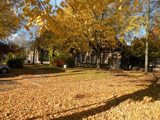  square, automne